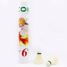 Бадмінтон і Теніс